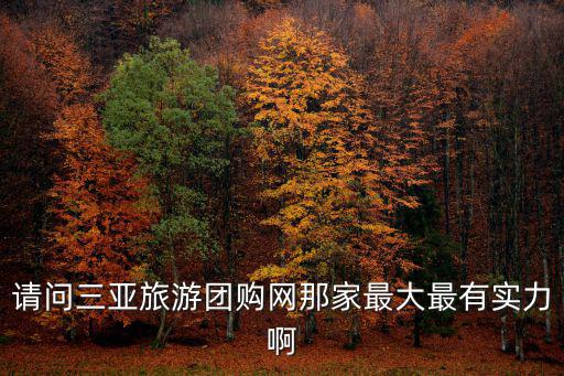 請問三亞旅游團購網那家最大最有實力啊