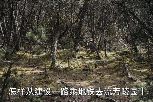 怎樣從建設一路乘地鐵去流芳陵園丨