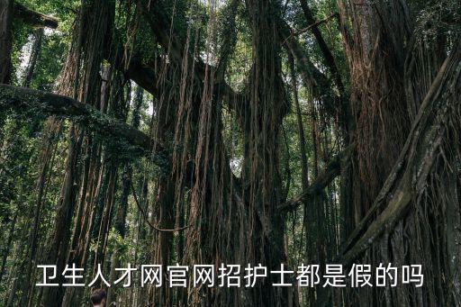 衛生人才網官網招護士都是假的嗎
