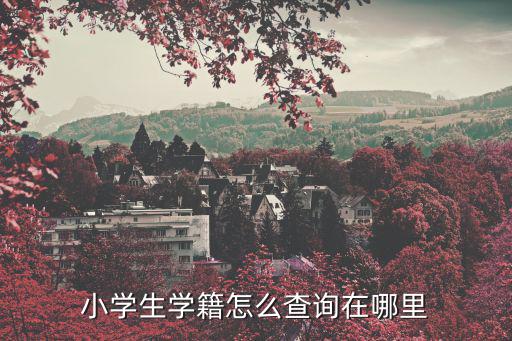 小學生學籍怎么查詢在哪里