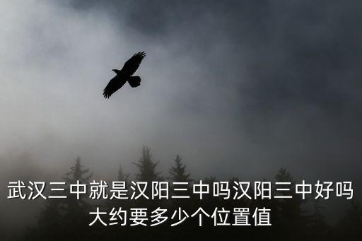 武漢三中就是漢陽三中嗎漢陽三中好嗎大約要多少個位置值