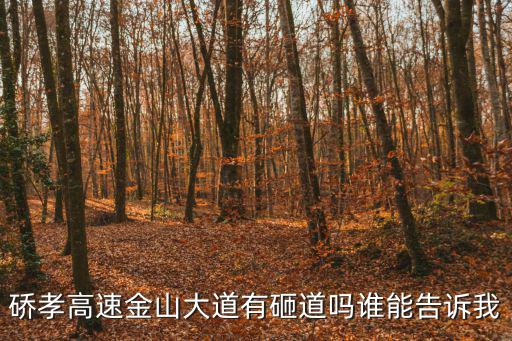 硚孝高速金山大道有砸道嗎誰能告訴我