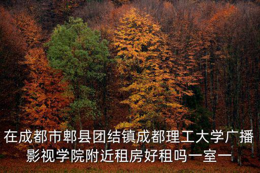 在成都市郫縣團結鎮成都理工大學廣播影視學院附近租房好租嗎一室一