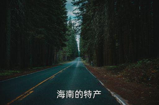 海口特產(chǎn)，海南小吃特產(chǎn)