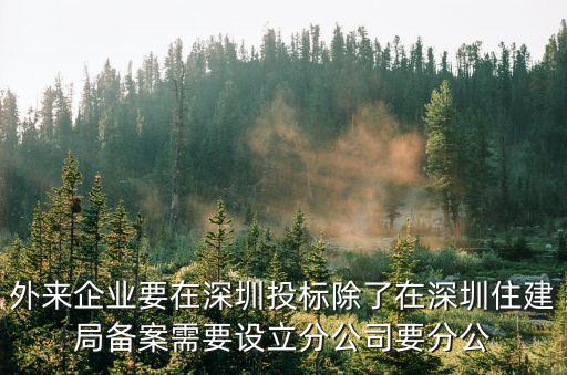 外來企業(yè)要在深圳投標(biāo)除了在深圳住建局備案需要設(shè)立分公司要分公