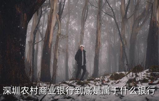 深圳農(nóng)村商業(yè)銀行到底是屬于什么銀行