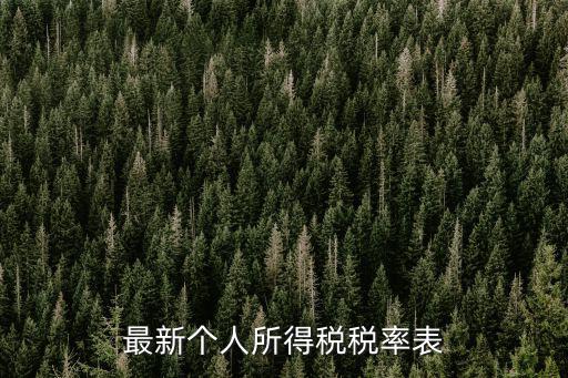 個人所得稅表，請問要怎么填寫個人所得稅匯總報告表以及扣繳個人所得稅明細報告