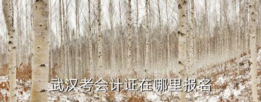 武漢市財(cái)政局官網(wǎng)，武漢市財(cái)政局網(wǎng)站上具體哪里可以看到考會(huì)計(jì)從業(yè)資料證應(yīng)該買什么書