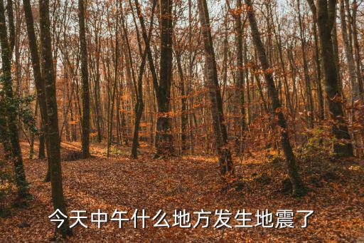 今天中午什么地方發生地震了