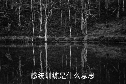 感統(tǒng)訓(xùn)練是什么意思