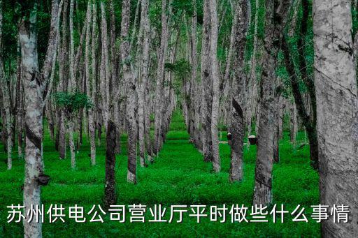 蘇州供電局，蘇州相城黃埭供電局電話是多少請幫忙說一下