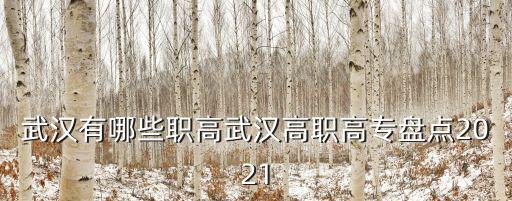 武漢有哪些職高武漢高職高專盤點2021