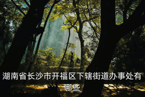 長沙開福區(qū)，長沙開福區(qū)屬于哪個(gè)地段