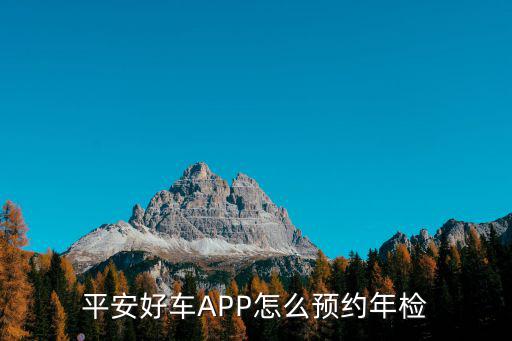 平安好車APP怎么預(yù)約年檢