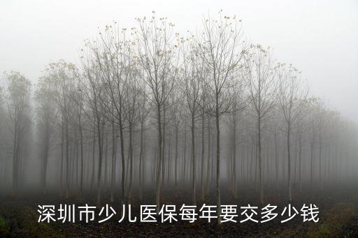 深圳少兒醫(yī)保，深圳市的小學(xué)生買(mǎi)少兒醫(yī)保具體有什么好處其監(jiān)護(hù)人沒(méi)有買(mǎi)社保