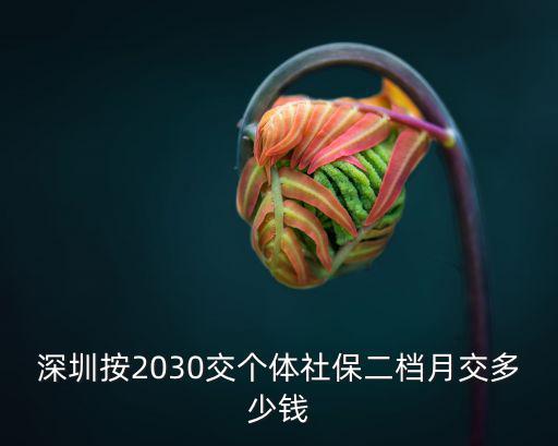 深圳按2030交個體社保二檔月交多少錢