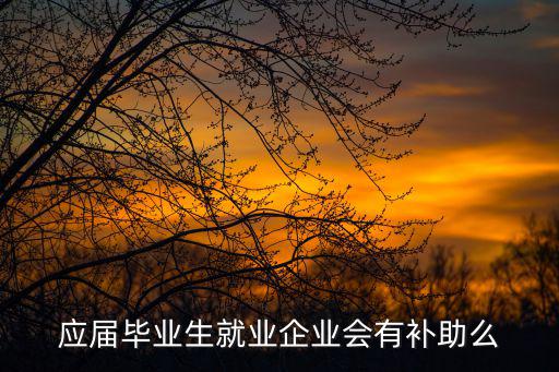 應(yīng)屆生就業(yè)補(bǔ)貼，應(yīng)屆畢業(yè)生就業(yè)企業(yè)會(huì)有補(bǔ)助么
