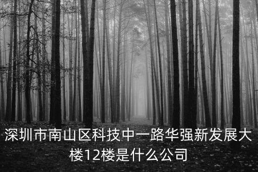 深圳市南山區(qū)科技中一路華強(qiáng)新發(fā)展大樓12樓是什么公司