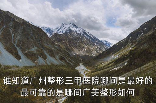 誰知道廣州整形三甲醫院哪間是最好的最可靠的是哪間廣美整形如何