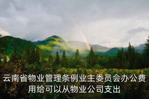 云南省物業(yè)管理條例業(yè)主委員會辦公費(fèi)用給可以從物業(yè)公司支出
