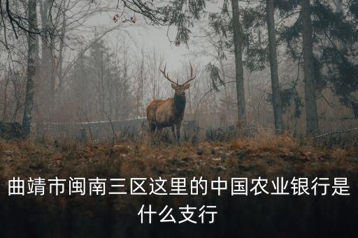 曲靖市閩南三區這里的中國農業銀行是什么支行