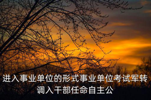進入事業單位的形式事業單位考試軍轉調入干部任命自主公