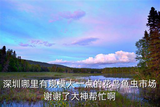 深圳哪里有規模大一點的花鳥魚蟲市場謝謝了大神幫忙啊