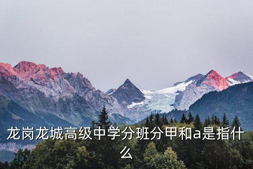 龍崗龍城高級中學分班分甲和a是指什么