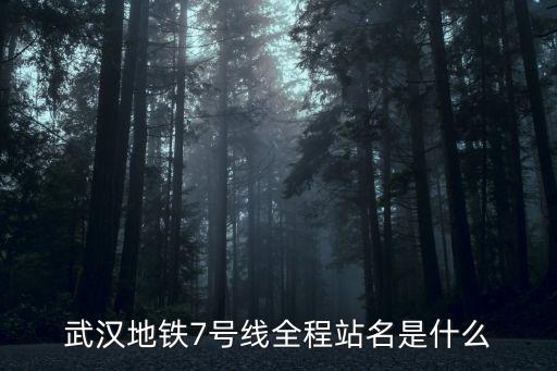 武漢地鐵7號線全程站名是什么