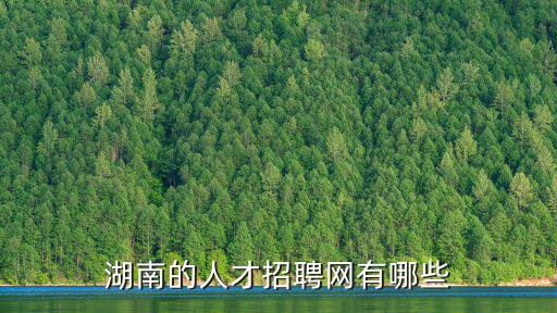 湖南的人才招聘網有哪些