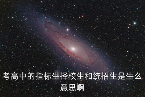考高中的指標(biāo)生擇校生和統(tǒng)招生是生么意思啊