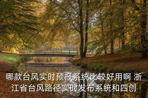 臺風路徑實時發布，臺風路徑實時發布系統徃后丕有幾個臺風