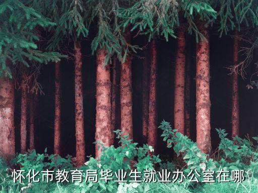 懷化市教育局，懷化市溆浦縣教育局下午幾點上班的