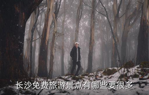 長沙免費旅游景點有哪些要很多