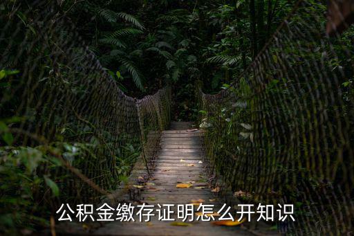 公積金代繳證明，住房公積金繳納證明在哪里可以開需要哪些程序