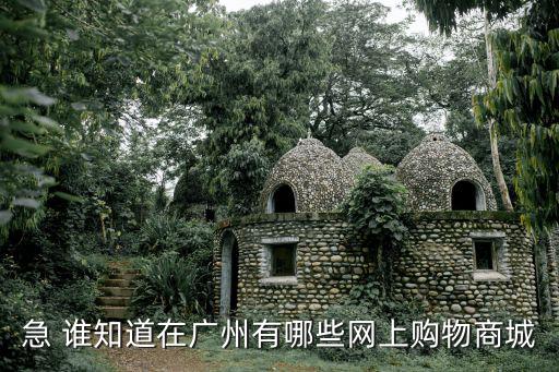 急 誰知道在廣州有哪些網上購物商城