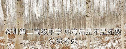 深圳第二高級(jí)中學(xué)，深圳第二高級(jí)中學(xué) 中考后是不是還要分班考試