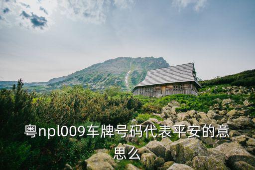 粵npl009車牌號碼代表平安的意思么