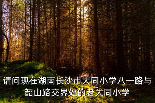 請問現(xiàn)在湖南長沙市大同小學八一路與韶山路交界處的老大同小學
