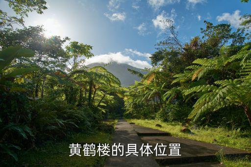 黃鶴樓的具體位置