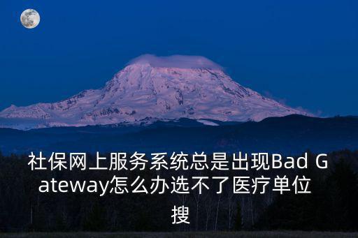 社會保險網上服務系統，我在社會保險網上服務系統上忘記了個人帳戶查詢密碼怎么辦
