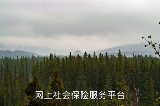 網上社會保險服務平臺