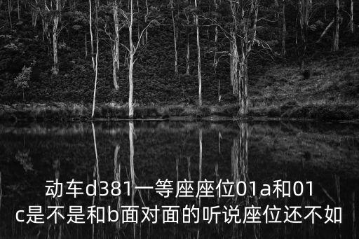動(dòng)車d381一等座座位01a和01c是不是和b面對(duì)面的聽說(shuō)座位還不如