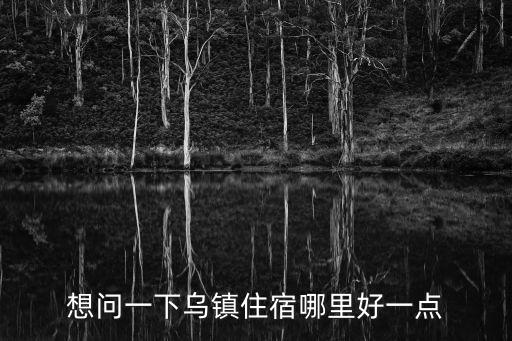 想問一下烏鎮住宿哪里好一點