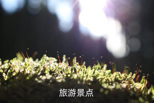 旅游景點
