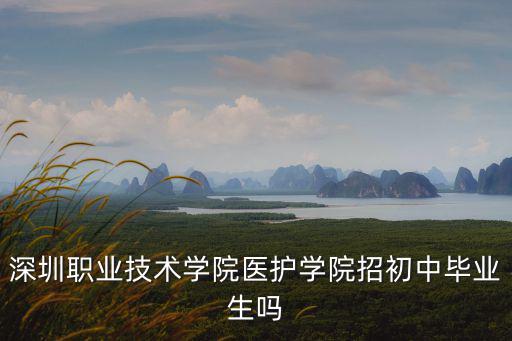 深圳職業(yè)技術(shù)學(xué)院醫(yī)護(hù)學(xué)院招初中畢業(yè)生嗎