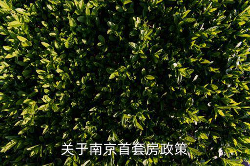 關于南京首套房政策