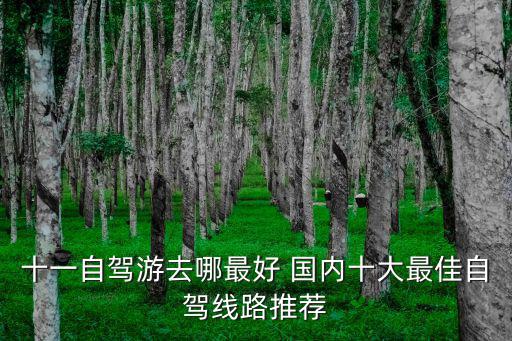國(guó)慶自駕游，十一自駕游去哪最好 國(guó)內(nèi)十大最佳自駕線路推薦