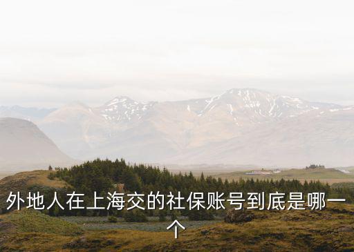 外地人在上海交的社保賬號(hào)到底是哪一個(gè)