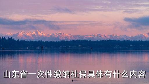 山東社保，山東省一次性繳納社保具體有什么內(nèi)容